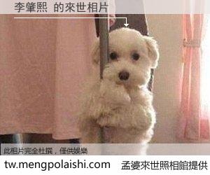 李肇熙 來世的未來相片