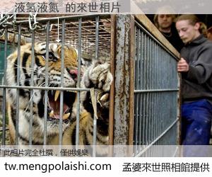 液氢液氮 來世的未來相片