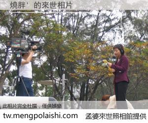 燒胖' 來世的未來相片