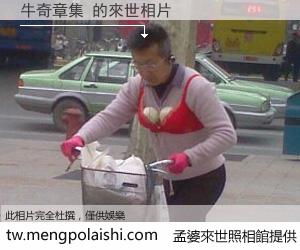 牛奇章集 來世的未來相片
