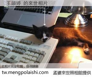 王韻婷 來世的未來相片