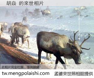 胡焱 來世的未來相片