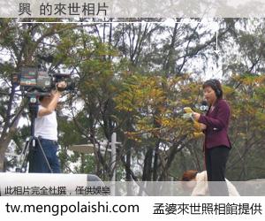 興 來世的未來相片