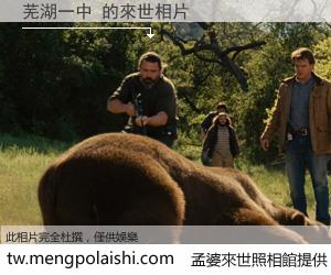 芜湖一中 來世的未來相片