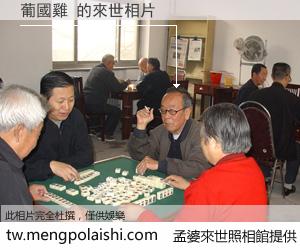 葡國雞 來世的未來相片