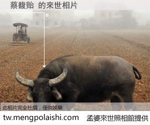 蔡馥贻 來世的未來相片