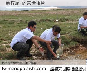 詹梓藤 來世的未來相片