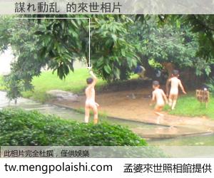 謀れ動乱 來世的未來相片