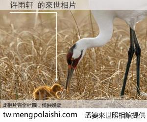 许雨轩 來世的未來相片