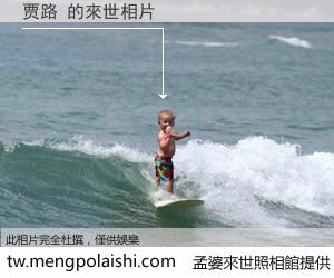 贾路 來世的未來相片