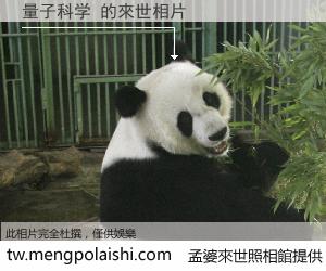 量子科学 來世的未來相片