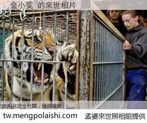 金小雯 來世的未來相片