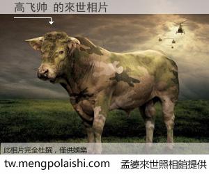 高飞帅 來世的未來相片
