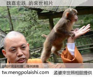 魏嘉宏跌 來世的未來相片