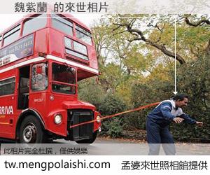 魏紫蘭 來世的未來相片