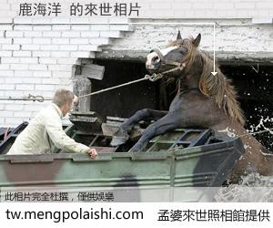 鹿海洋 來世的未來相片
