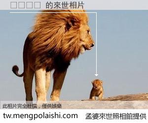 블랙아웃 來世的未來相片